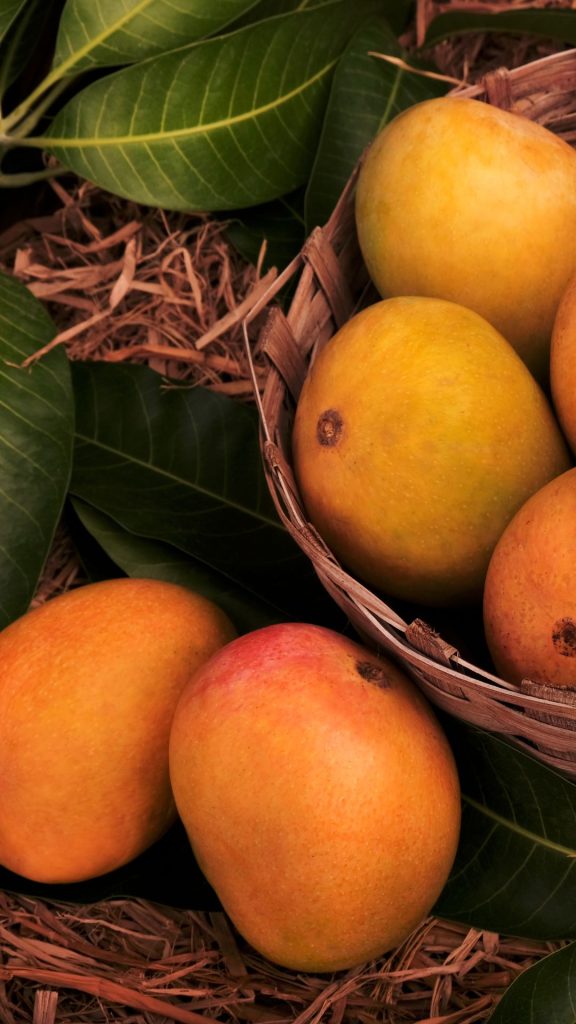 Vintage theme demure mango wallpaper