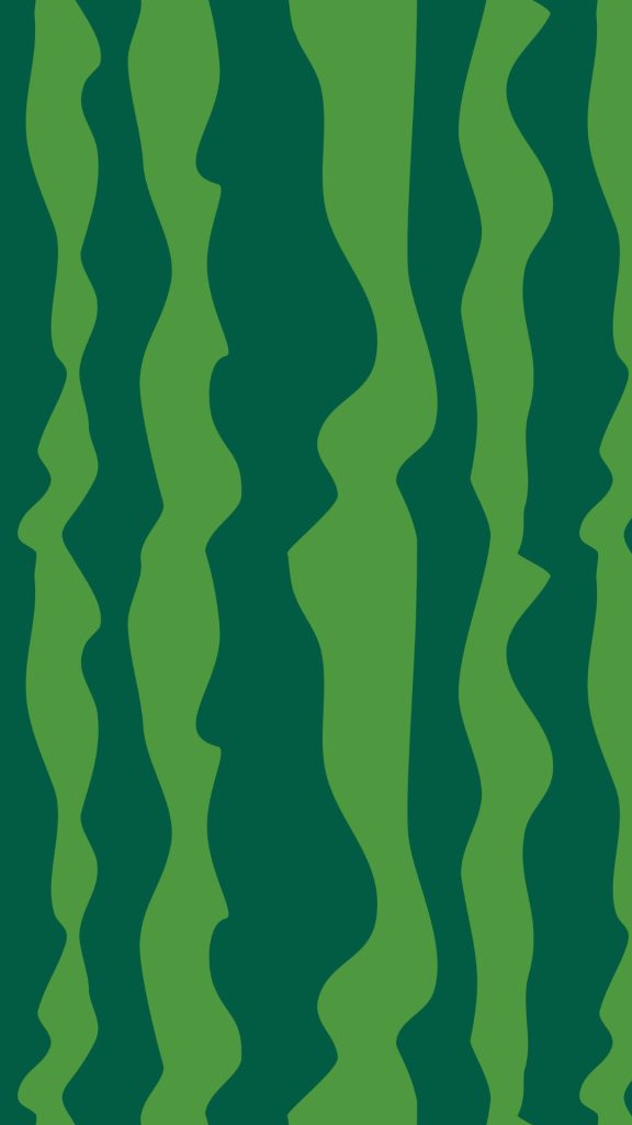 Watermelon skin with green and parrot colour watermelon wallpaper