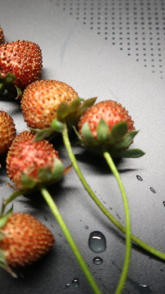 Wild strawberries beautiful strawberry wallpapers