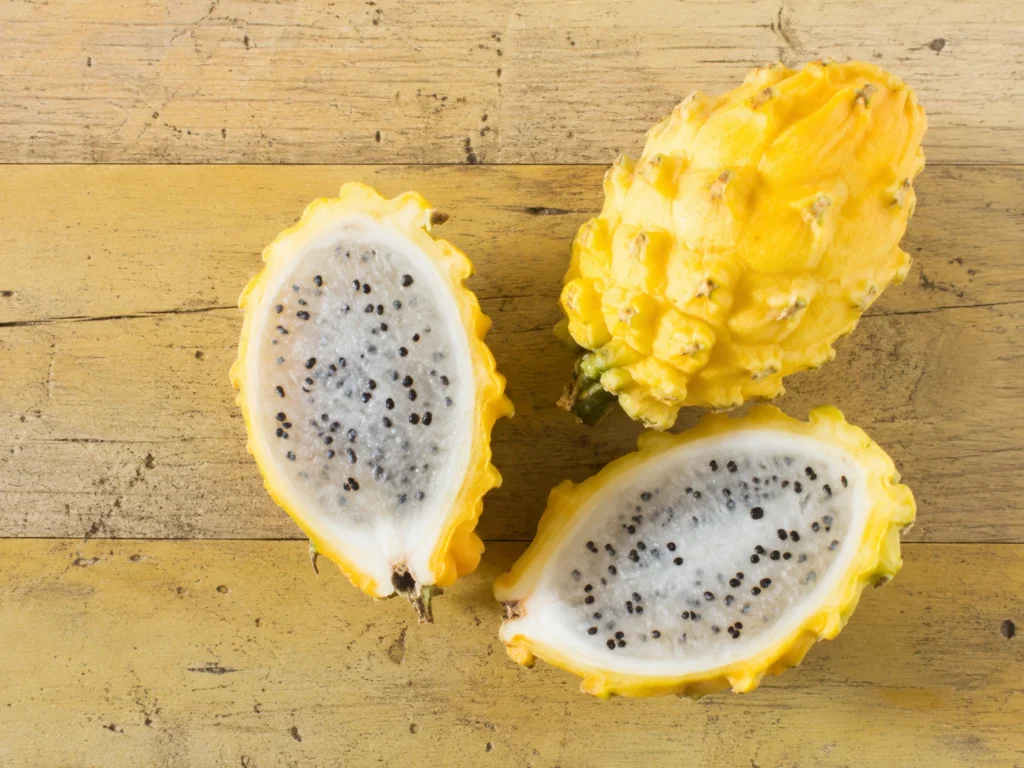 Yellow Dragon Fruit Still Life