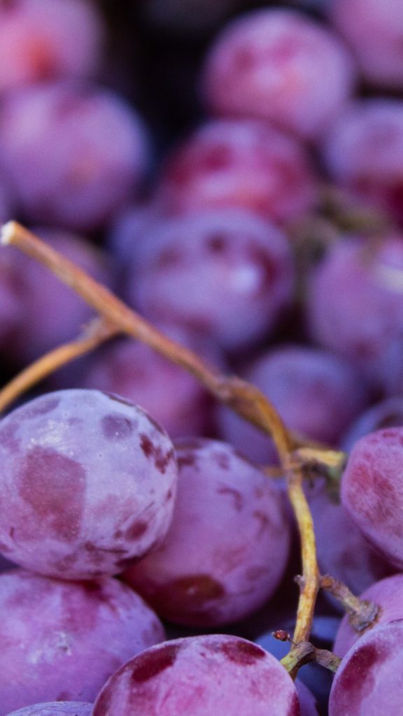 Zoomed purple grapes wallpaper