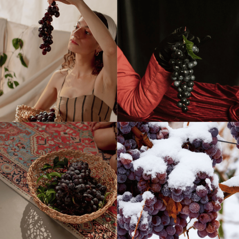 50+ purple grapes wallpaper