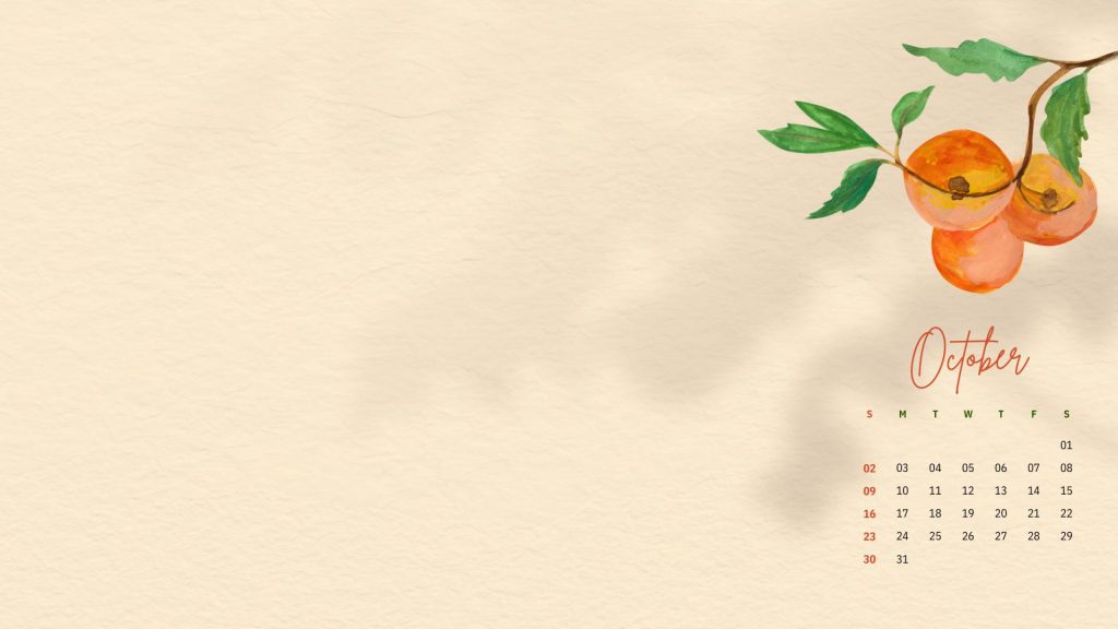 Demure aesthetic cute orange fruit wallpaper