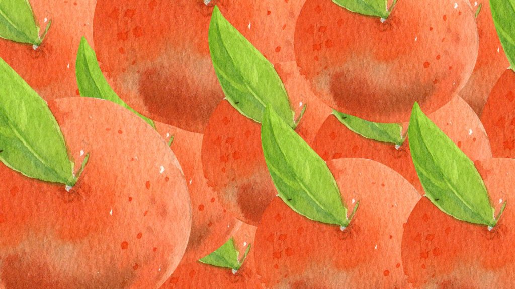 Painted aesthetic cute orange fruit wallpaper