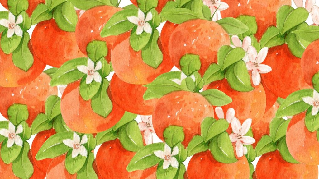 Sweet aesthetic cute orange fruit wallpaper