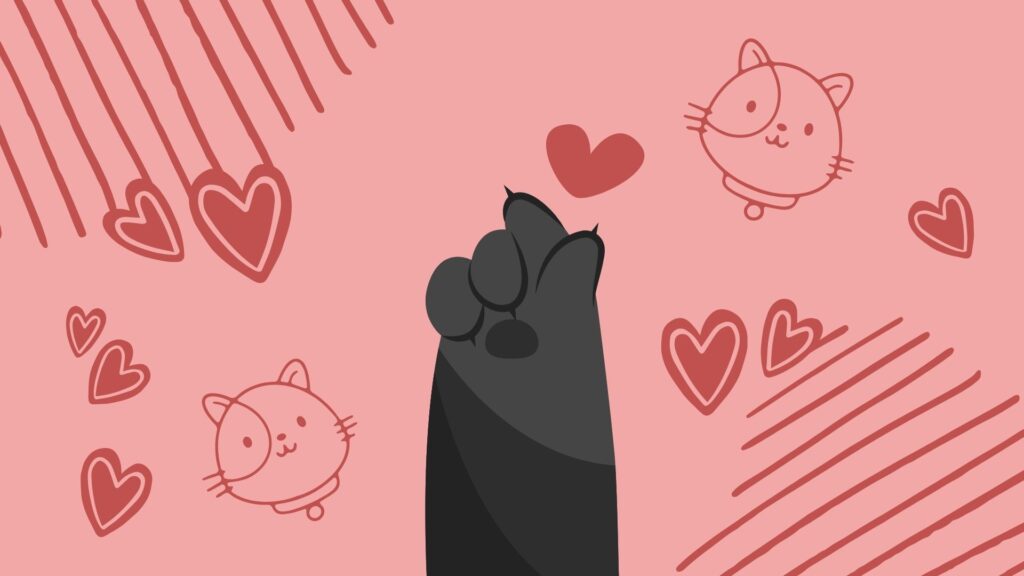 black paw cat wallpaper for laptop