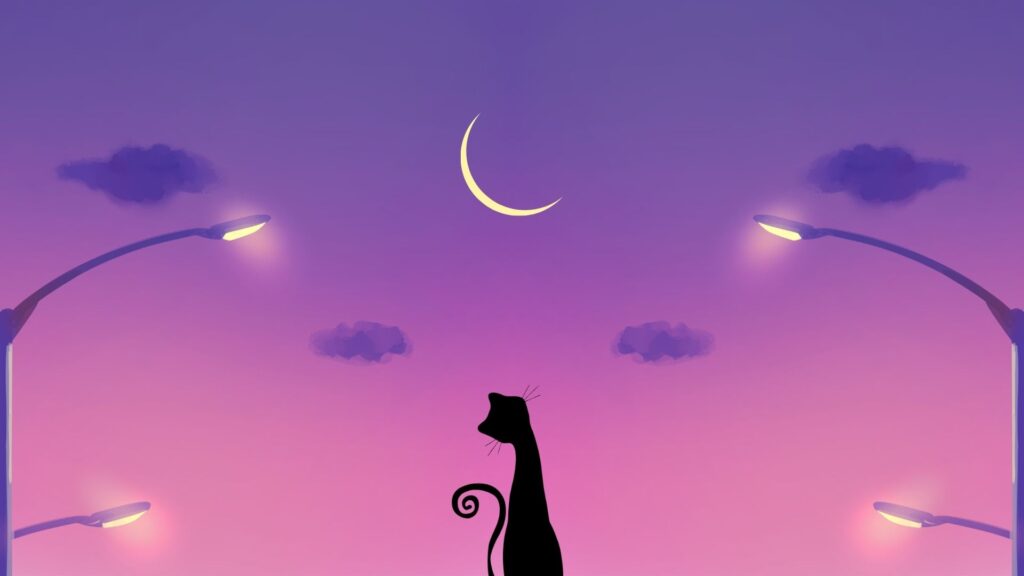 half moon cat wallpaper for laptop