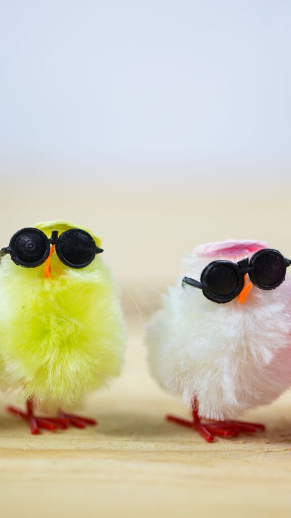 chick Goofy ahh wallpaper phone