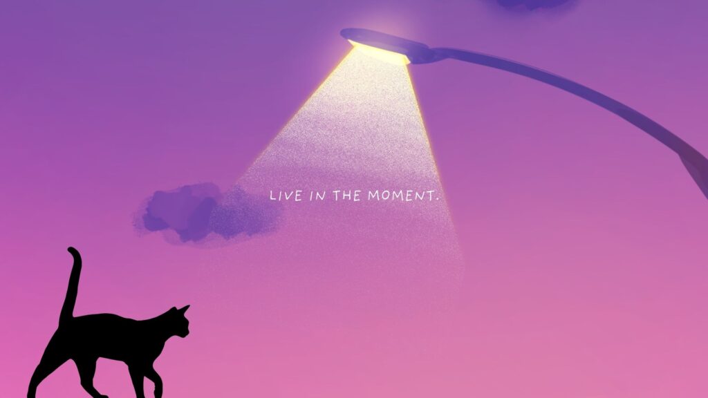 street cat wallpaper for laptop