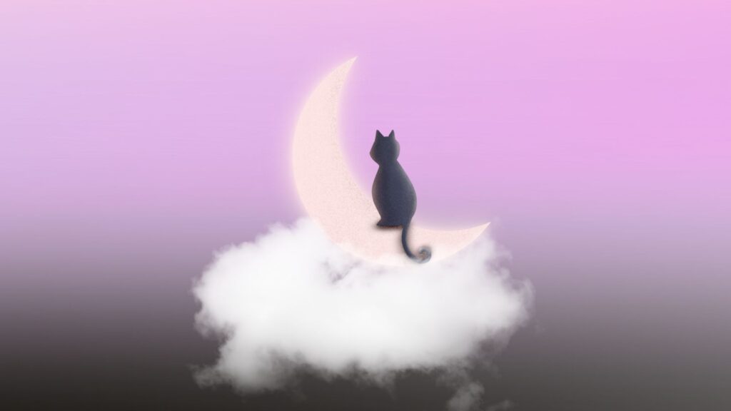 cloudy cat wallpaper for laptop