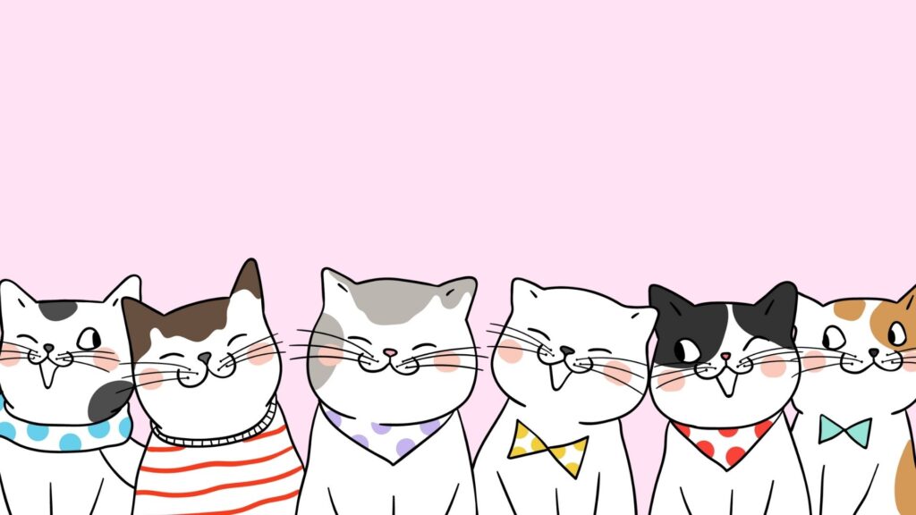 brothers cat wallpaper for laptop