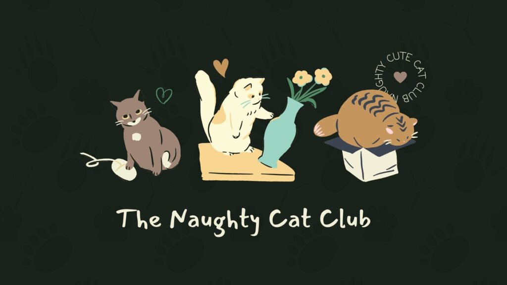 black cat wallpaper for laptop