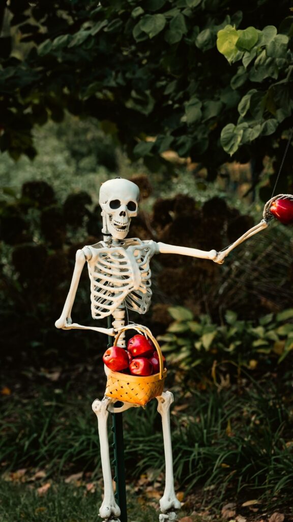 funny skeleton Goofy ahh wallpaper phone