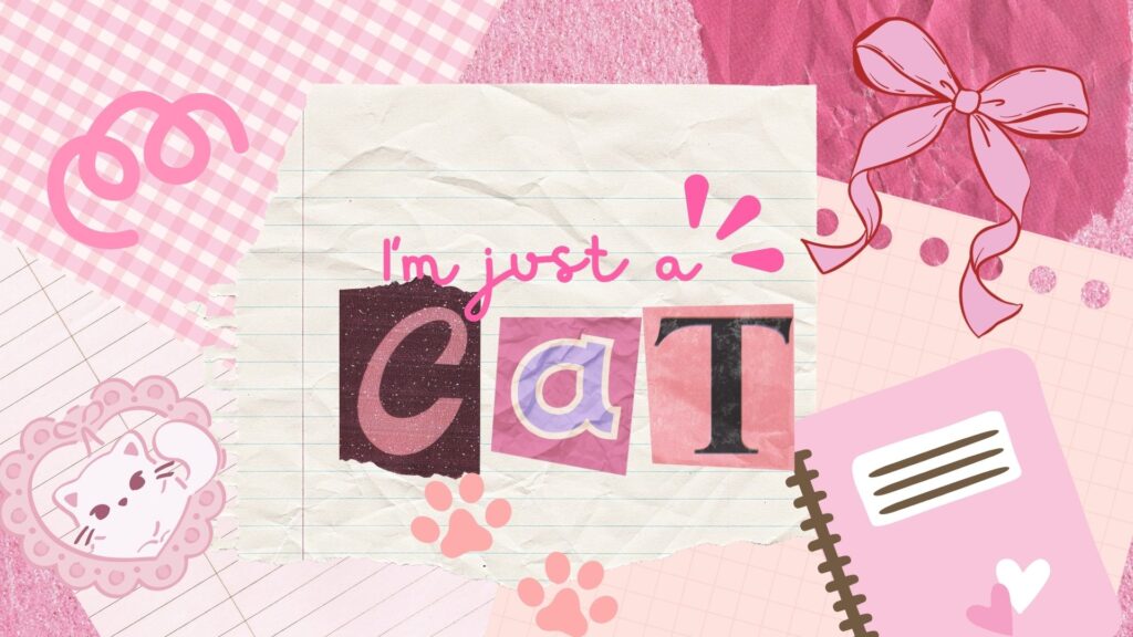 cute cat wallpaper for laptop