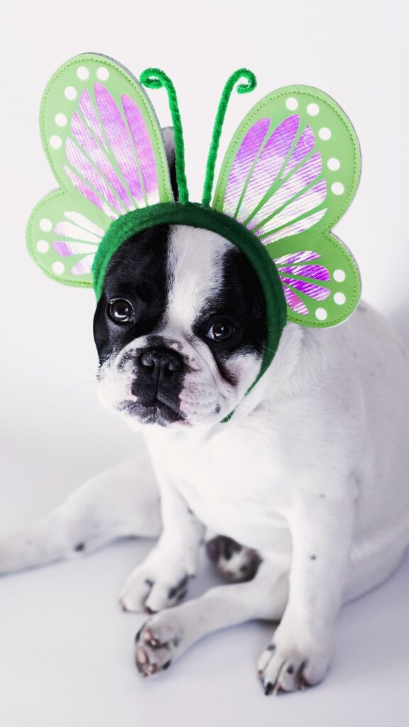 dog Goofy ahh wallpaper phone