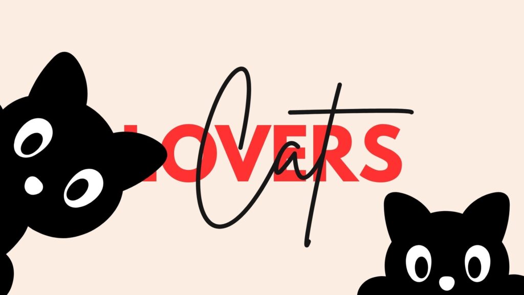 lovers cat wallpaper for laptop