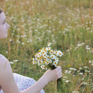 dandelions preppy pfp