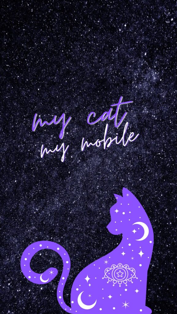 night cat wallpaper