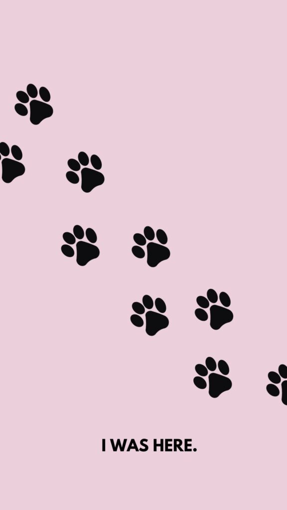 lavender cute cat wallpaper cartoon