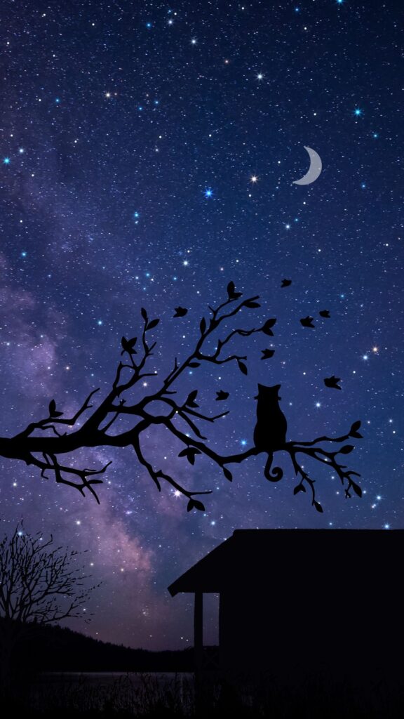 witch cat wallpaper