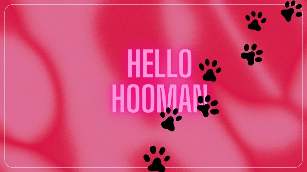 neon pink cat wallpaper for laptop