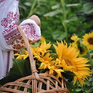 floral basket preppy pfp