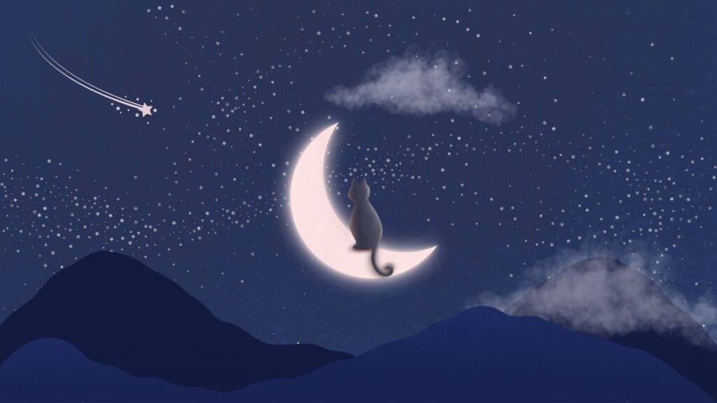moon cat wallpaper for laptop