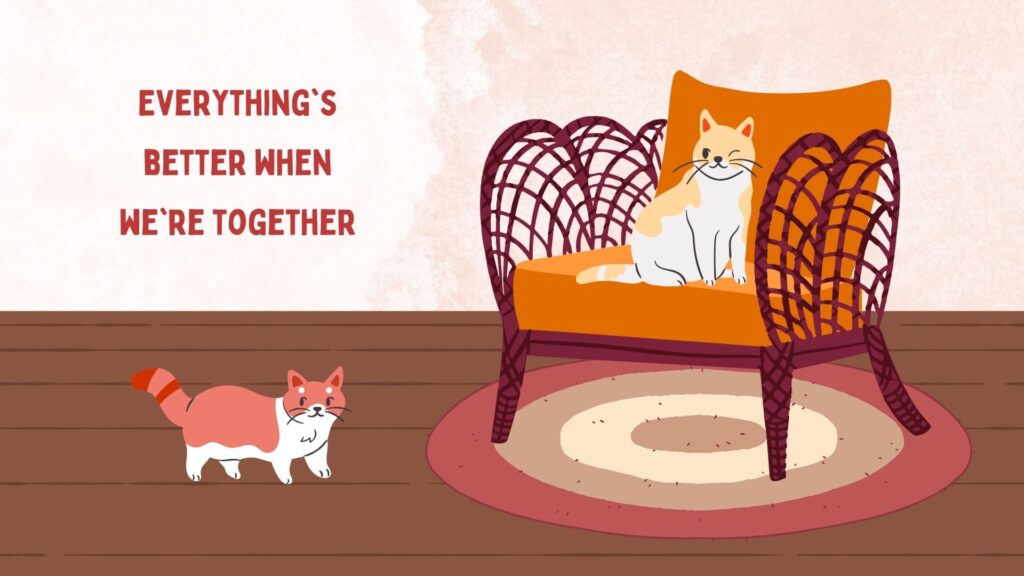 aesthetic cat wallpaper for laptop