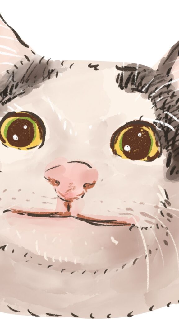 cute cat Goofy ahh wallpaper phone