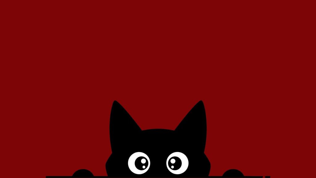 maroon cat wallpaper for laptop