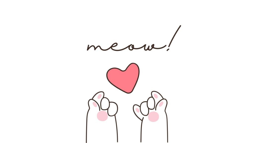 meow cat wallpaper for laptop