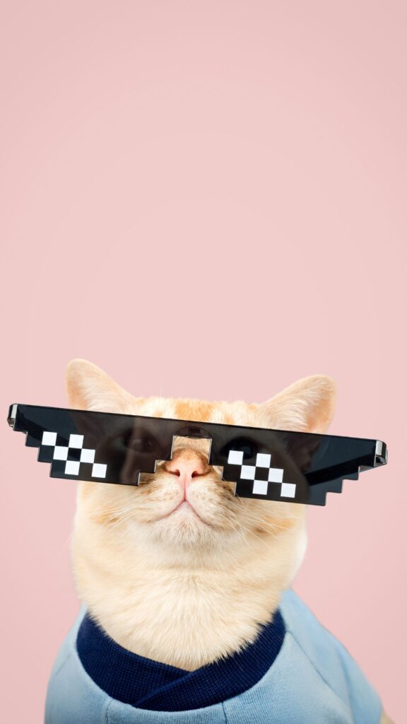 cool Goofy ahh wallpaper phone