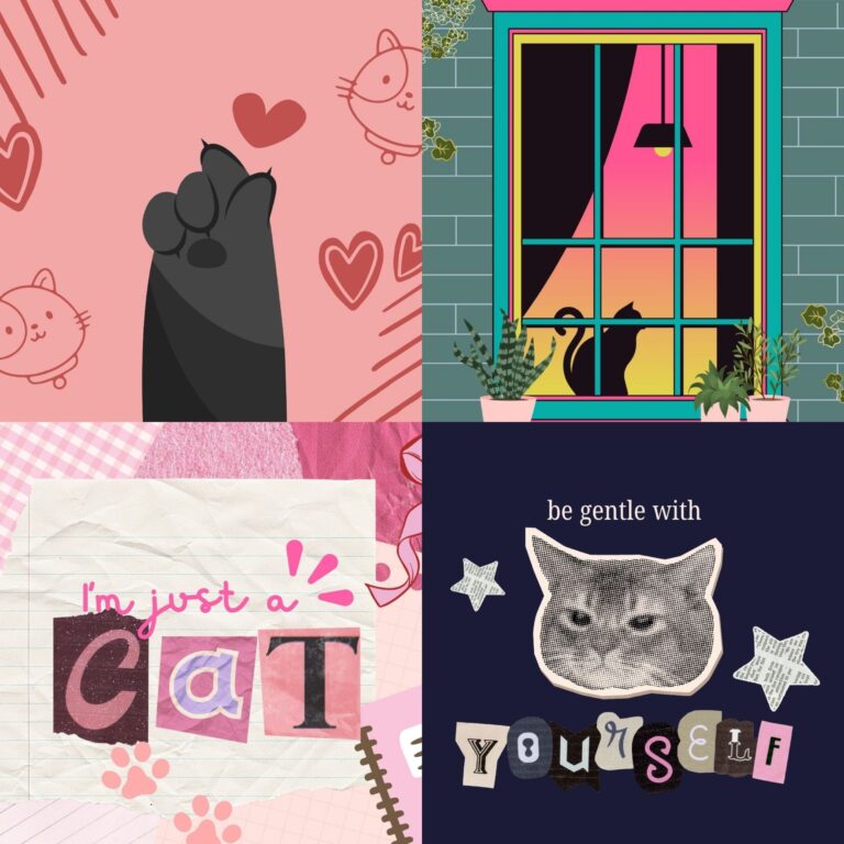 cat wallpaper for laptop