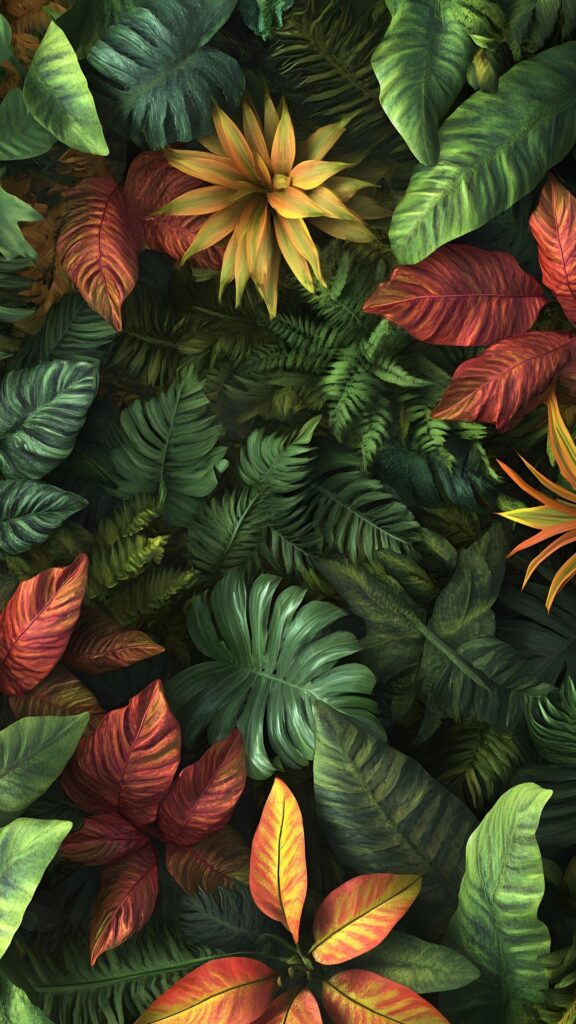 attractive nature background wallpaper