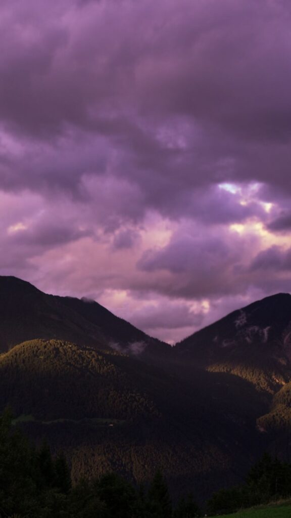 purple nature background wallpaper