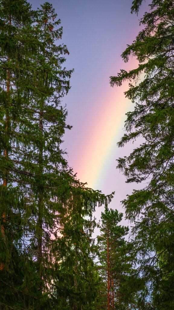 beautiful nature background wallpaper