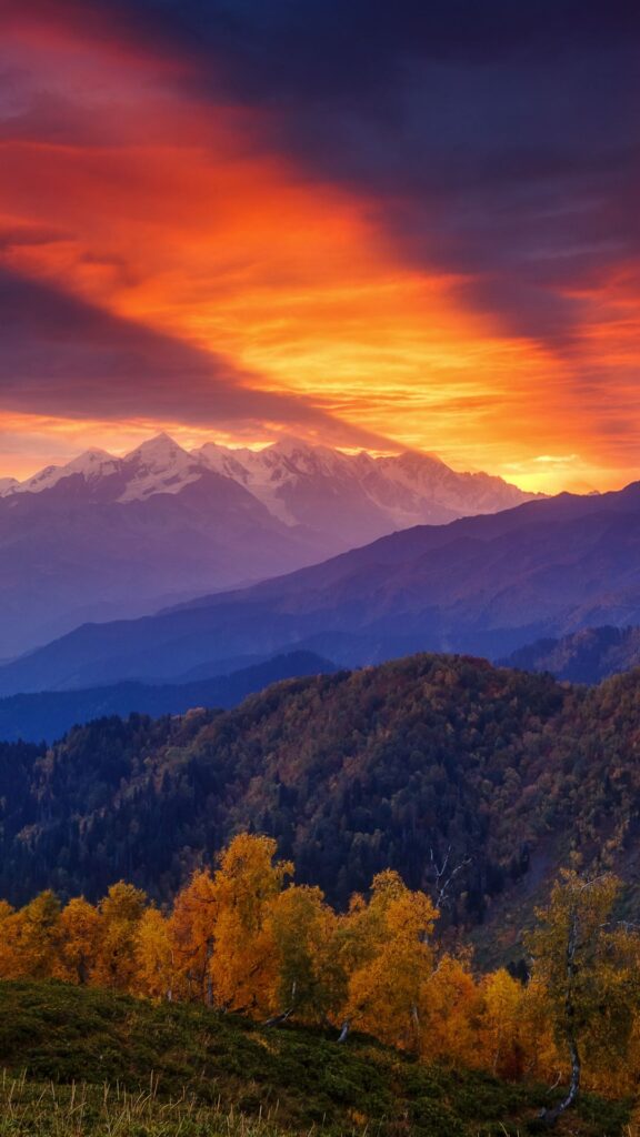 sunrays nature background wallpaper