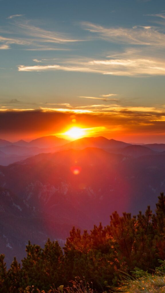 sunny nature background wallpaper