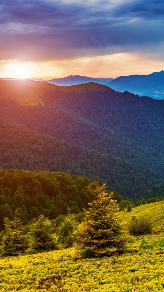 greenery nature background wallpaper