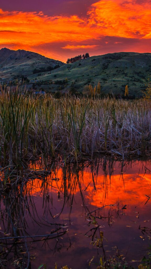 fresh lake nature background wallpaper