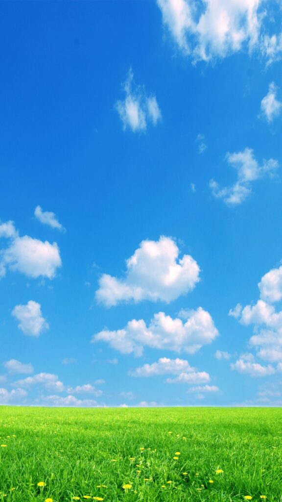 old windows nature background wallpaper