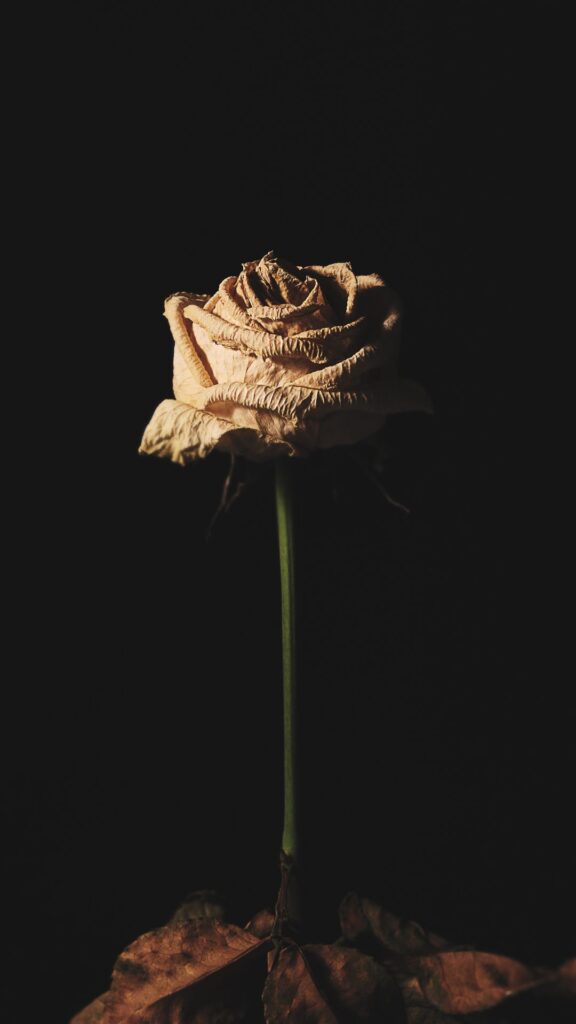 white darkness wallpapers