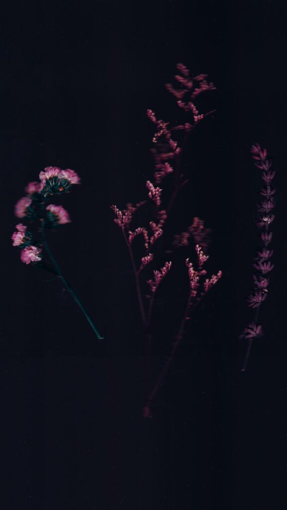 floral darkness wallpapers