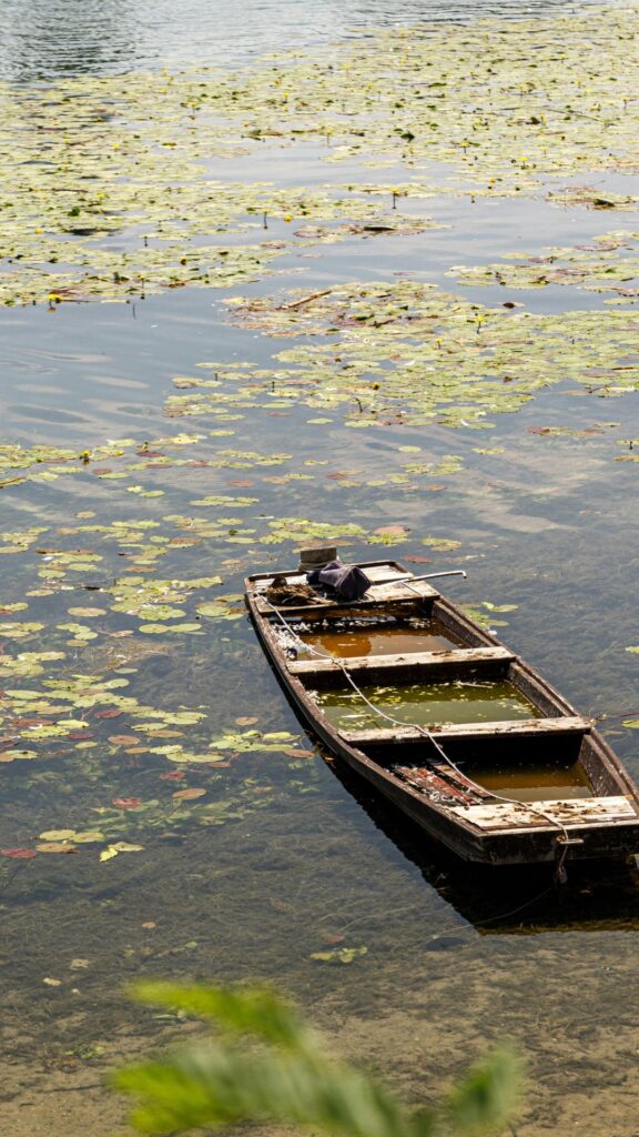 boat nature background wallpaper