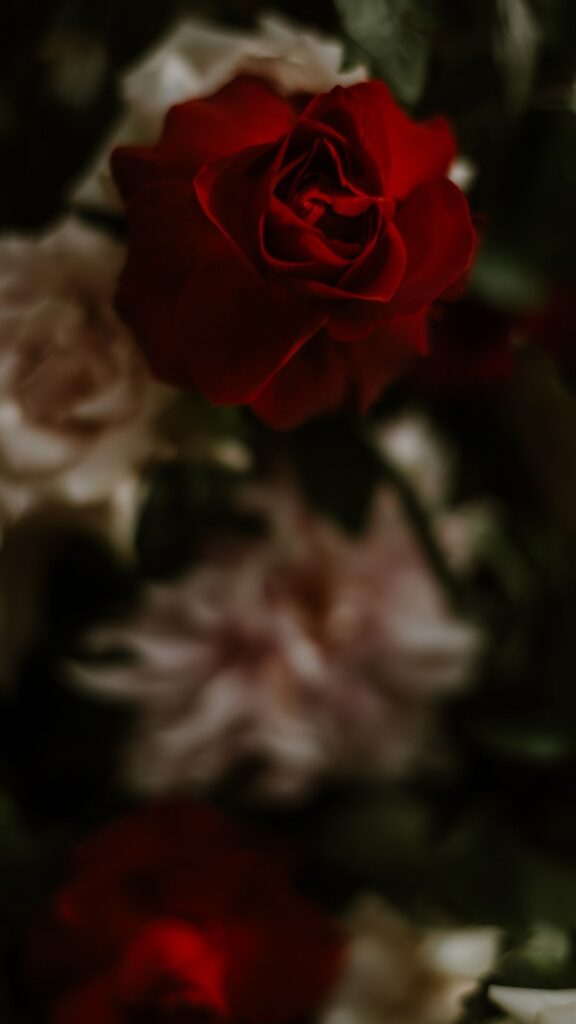 daisy & rose vintage iphone wallpaper