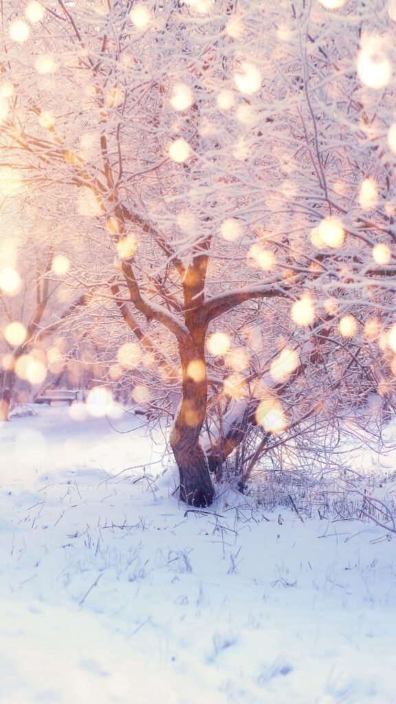 winter nature background wallpaper