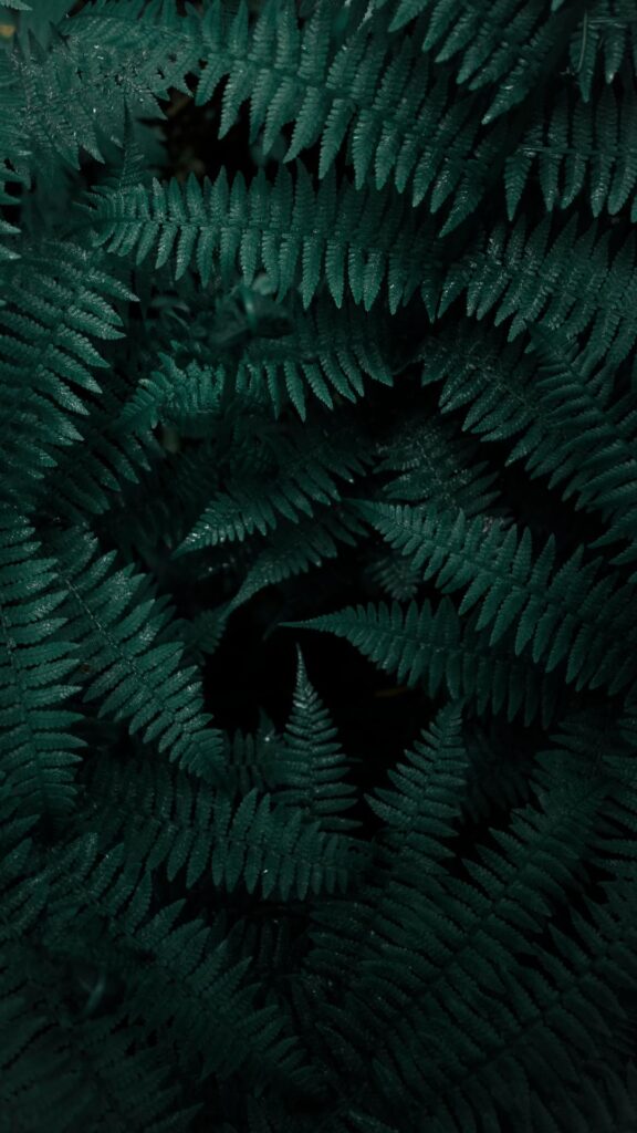 dark green nature background wallpaper