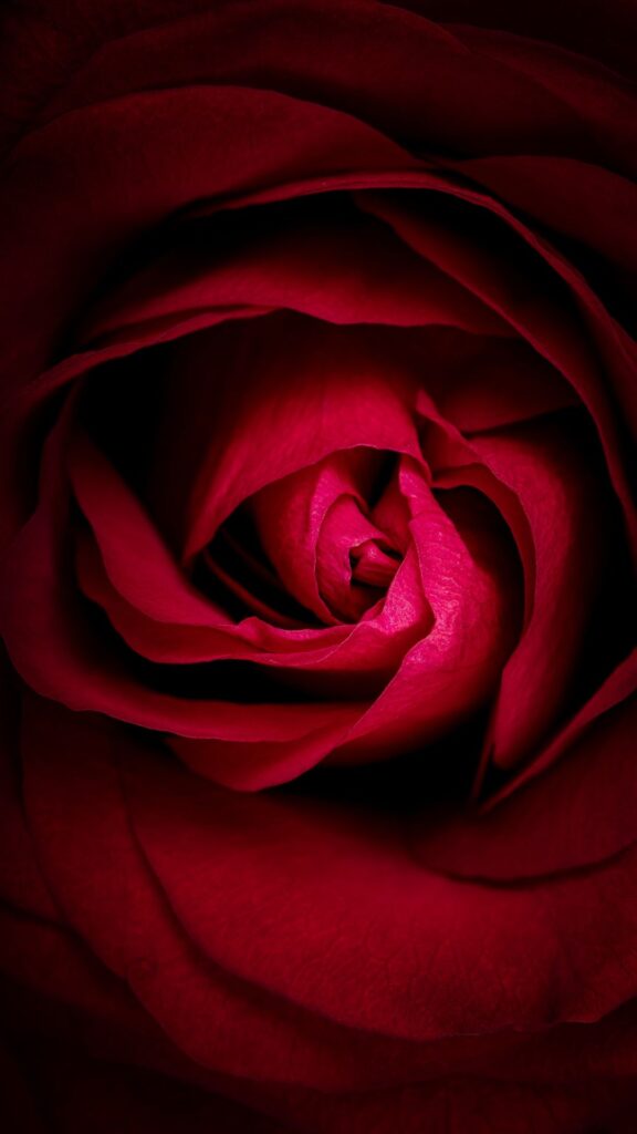 feminine darkness wallpapers