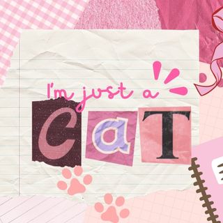 im just a cat pfp