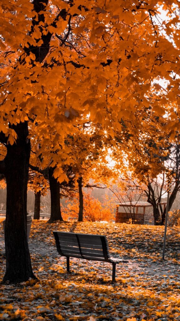 fall vintage iphone wallpaper